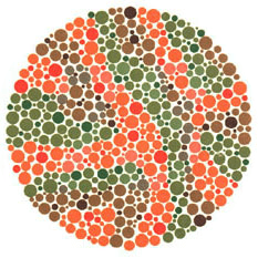 Ishihara Plate 21 from 38