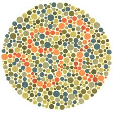 Ishihara Plate 33 from 38